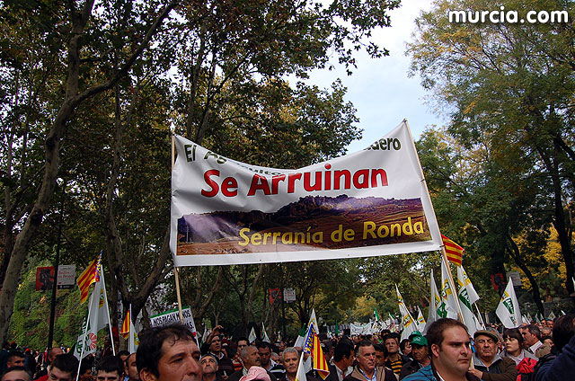 Manifestacin de agricultores en Madrid - 237