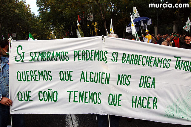 Manifestacin de agricultores en Madrid - 239