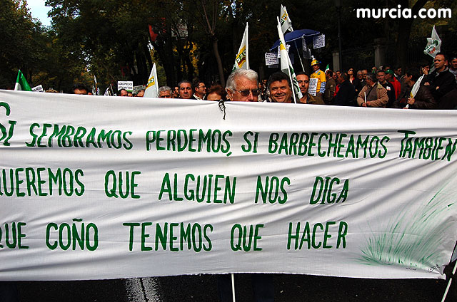 Manifestacin de agricultores en Madrid - 240