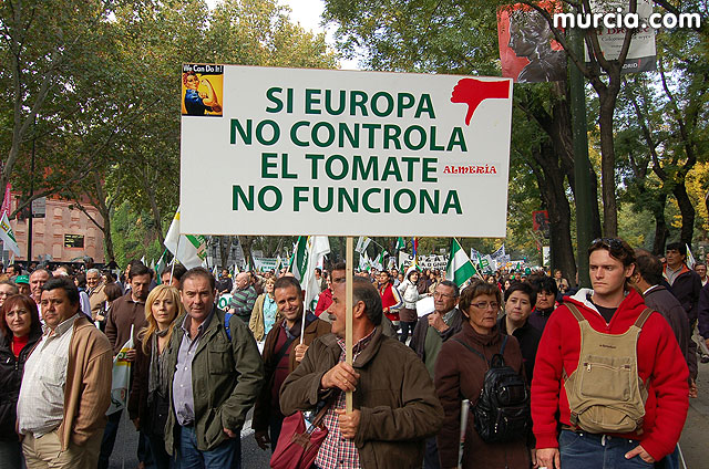 Manifestacin de agricultores en Madrid - 241