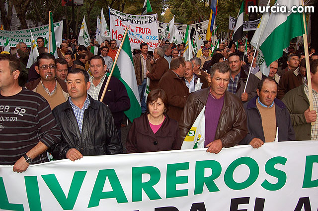 Manifestacin de agricultores en Madrid - 243