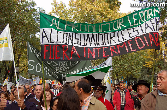 Manifestacin de agricultores en Madrid - 249