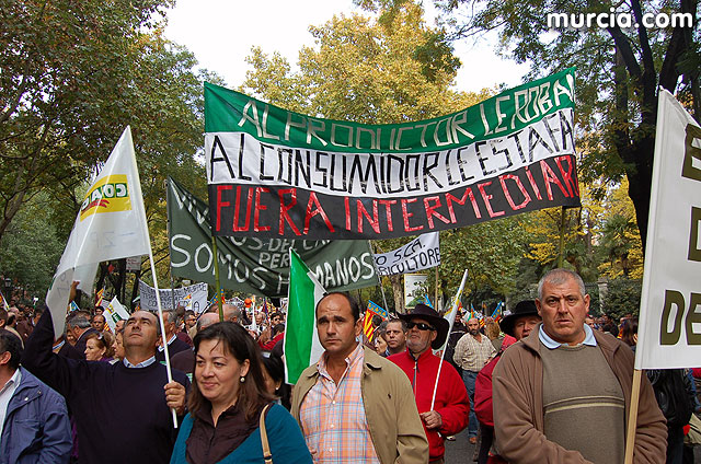 Manifestacin de agricultores en Madrid - 250