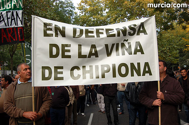 Manifestacin de agricultores en Madrid - 251
