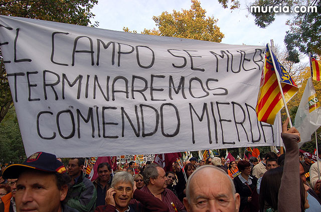 Manifestacin de agricultores en Madrid - 256