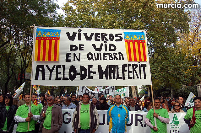 Manifestacin de agricultores en Madrid - 260