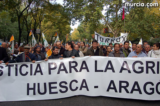 Manifestacin de agricultores en Madrid - 261
