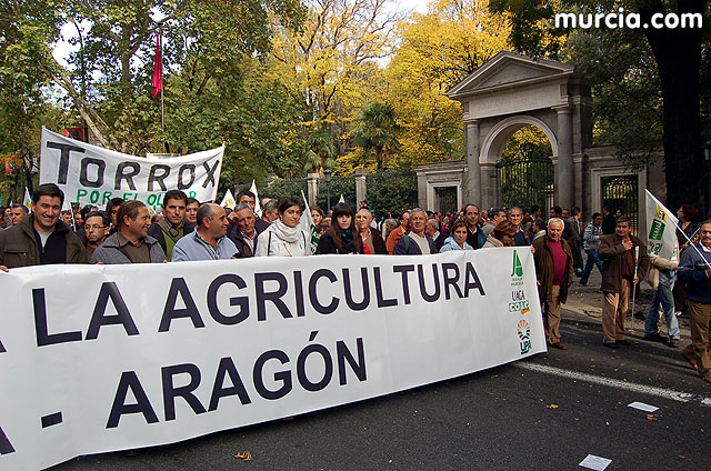 Manifestacin de agricultores en Madrid - 263