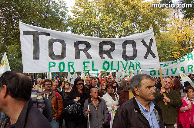 Manifestacin de agricultores en Madrid - 265
