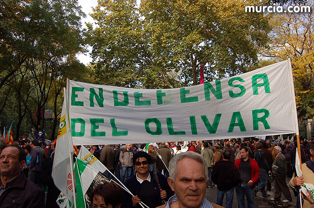 Manifestacin de agricultores en Madrid - 266