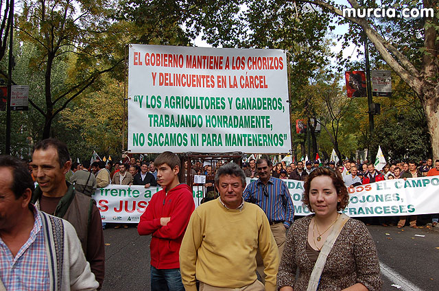 Manifestacin de agricultores en Madrid - 272