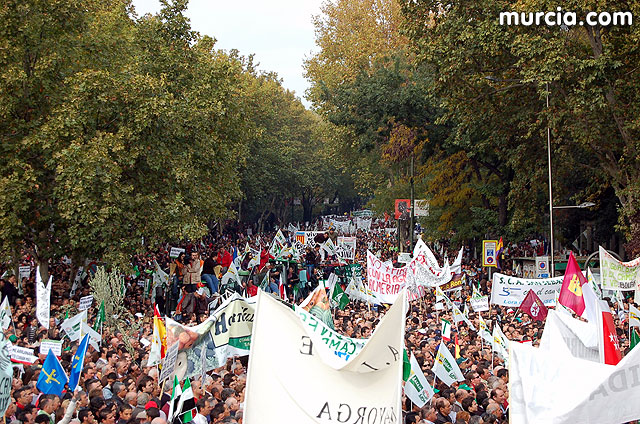 Manifestacin de agricultores en Madrid - 279