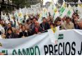 Manifestacin en Madrid - 12