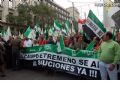 Manifestación en Madrid - 16 Manifestación en Madrid - 16