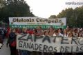 Manifestacin en Madrid - 74