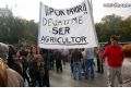 Manifestacin en Madrid - 77