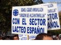 Manifestacin en Madrid - 123