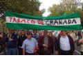 Manifestacin en Madrid - 211