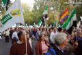 Manifestación en Madrid - 222 Manifestación en Madrid - 222