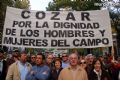 Manifestacin en Madrid - 246