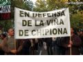Manifestacin en Madrid - 251