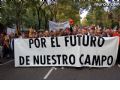 Manifestacin en Madrid - 254