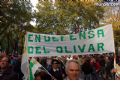 Manifestacin en Madrid - 266
