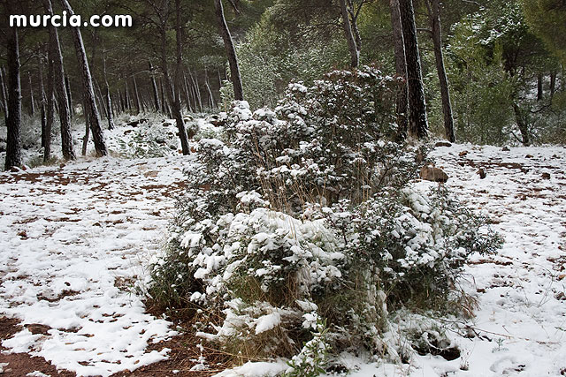 Nieve Sierra Espuña 2009 - 15