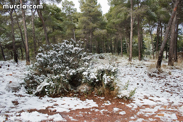 Nieve Sierra Espuña 2009 - 16