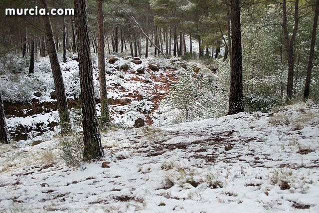 Nieve Sierra Espuña 2009 - 21