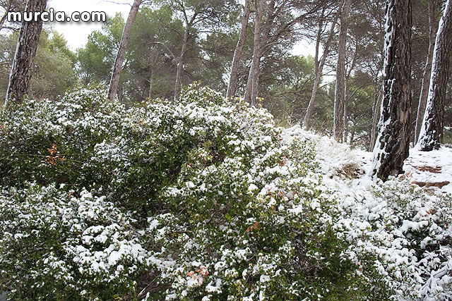 Nieve Sierra Espuña 2009 - 35
