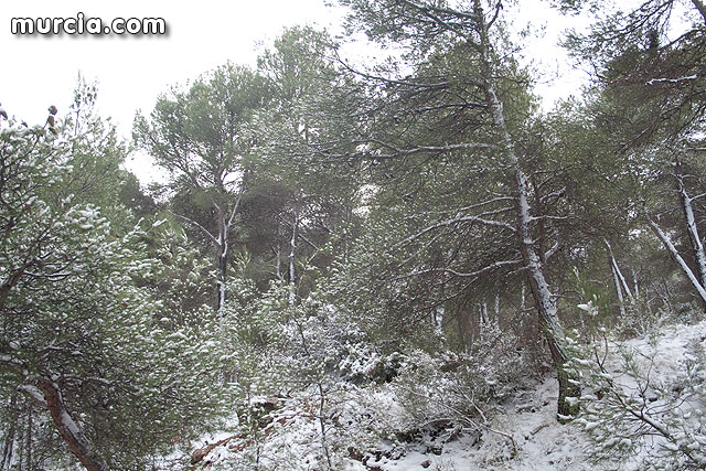 Nieve Sierra Espuña 2009 - 75