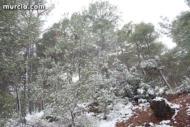 Nieve Sierra Espuña 2009 - 82