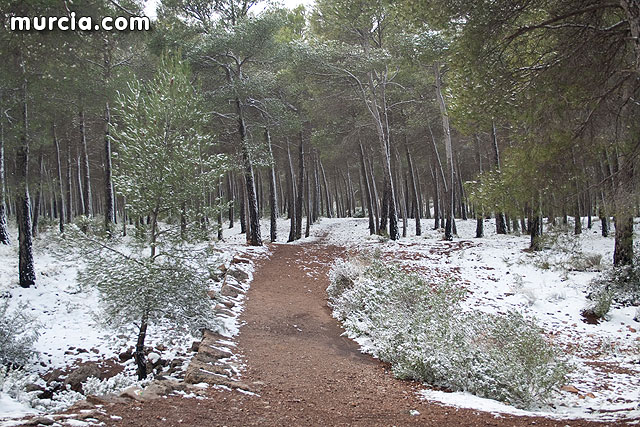 Nieve Sierra Espuña 2009 - 88