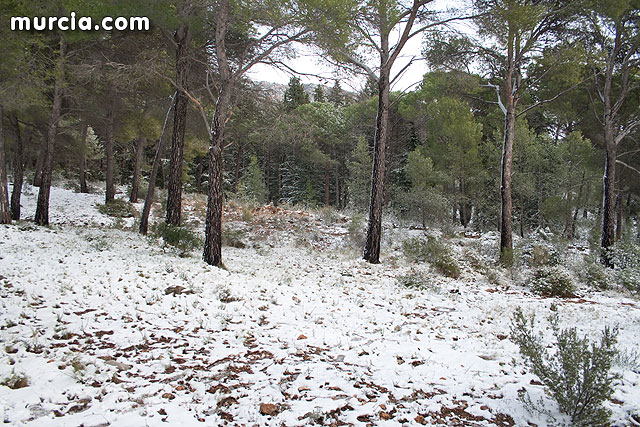 Nieve Sierra Espuña 2009 - 97