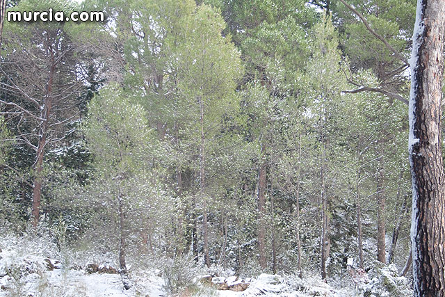 Nieve Sierra Espuña 2009 - 102