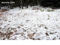 Nieve en Sierra Espuña  - 4