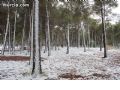 Nieve en Sierra Espuña  - 14