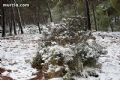 Nieve en Sierra Espuña  - 15