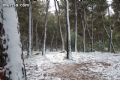 Nieve en Sierra Espuña - 19 Nieve en Sierra Espuña - 19