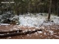 Nieve en Sierra Espuña  - 20
