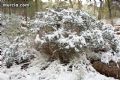 Nieve en Sierra Espuña - 28 Nieve en Sierra Espuña - 28