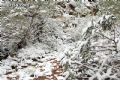 Nieve en Sierra Espuña  - 29