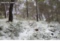 Nieve en Sierra Espuña  - 31