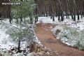 Nieve en Sierra Espuña  - 42