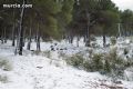 Nieve en Sierra Espuña  - 46