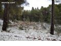 Nieve en Sierra Espuña - 50 Nieve en Sierra Espuña - 50