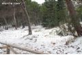 Nieve en Sierra Espuña  - 56