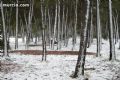 Nieve en Sierra Espuña  - 60