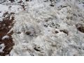 Nieve en Sierra Espuña - 71 Nieve en Sierra Espuña - 71
